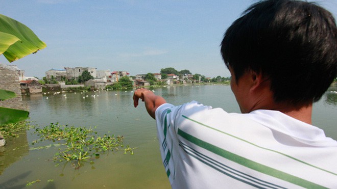 Đầm cá nơi phát hiện bé sơ sinh xấu số.