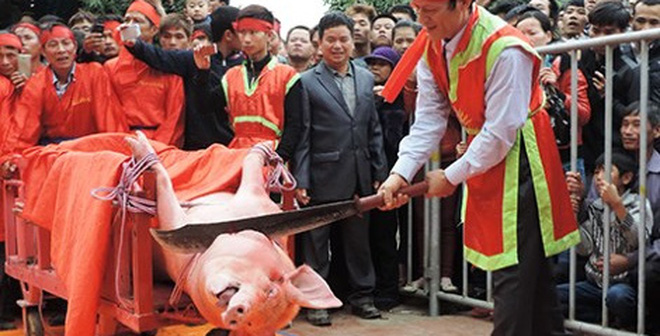 Từ 01/01/2020, sẽ không tổ chức lễ hội đâm trâu, chém lợn?